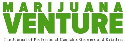 marijuana ventures